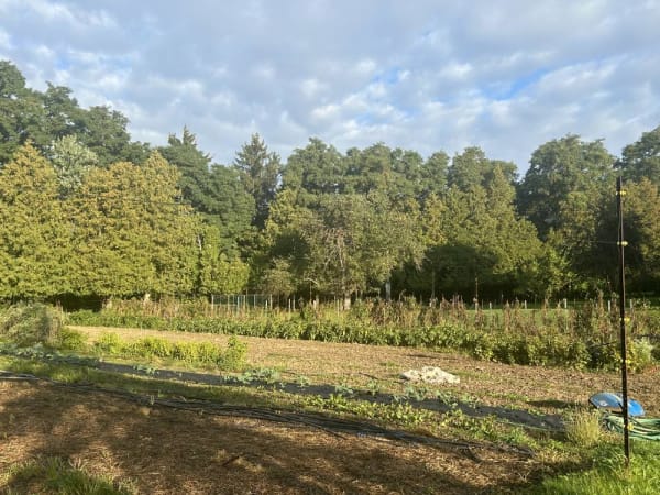 Laureate College - Backyard Harvest 