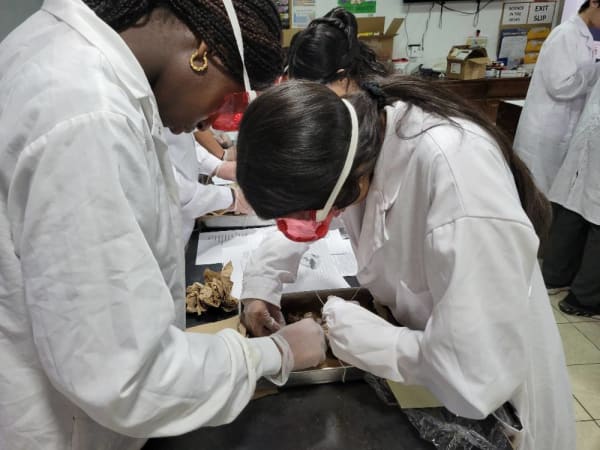 St. Jude's Academy - In School Science Lab 