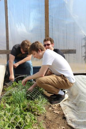 Thetford Academy - Hoop house for overwintering gardens. 