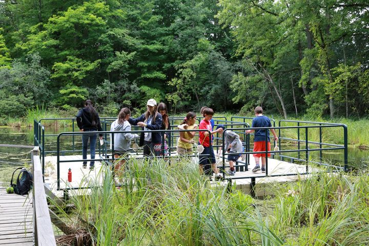 Kortright Summer Nature Day Camp Woodbridge Education Multi
