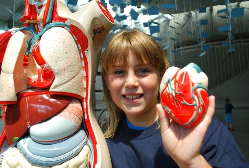 Ontario Science Centre Camp North York Day Camp