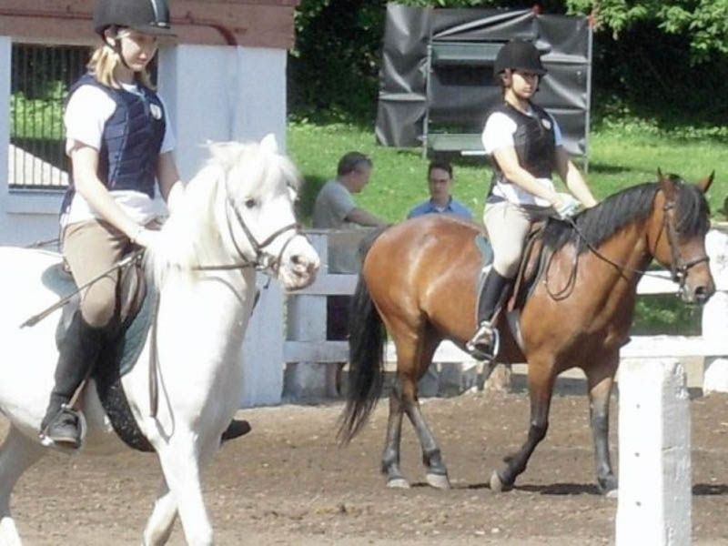 Sunnybrook Stables Riding Camp Toronto Horseback Riding/Equestrian