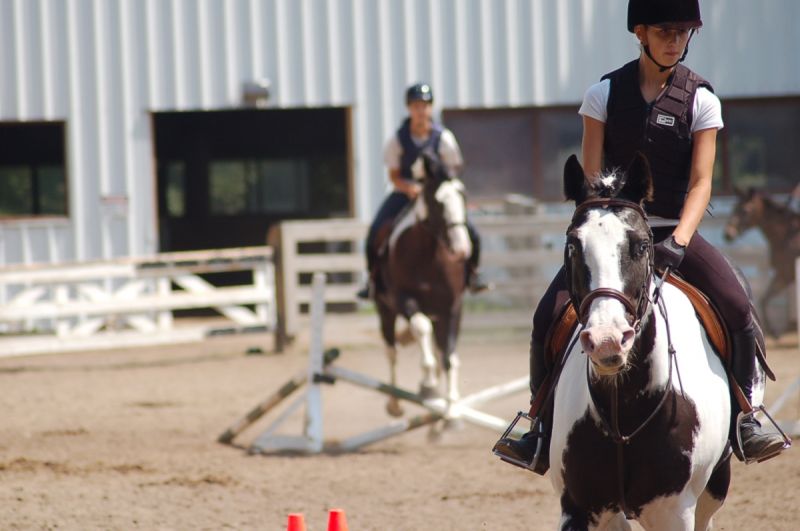 Sunnybrook Stables Riding Camp Toronto Horseback Riding/Equestrian