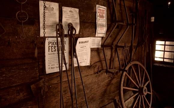 camp davern - maberly traditional multi activity