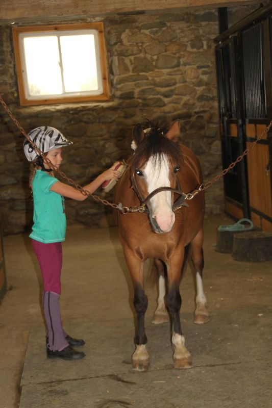 Stonewood Equestrian Riding Academy Pickering Horseback Riding/Equestrian