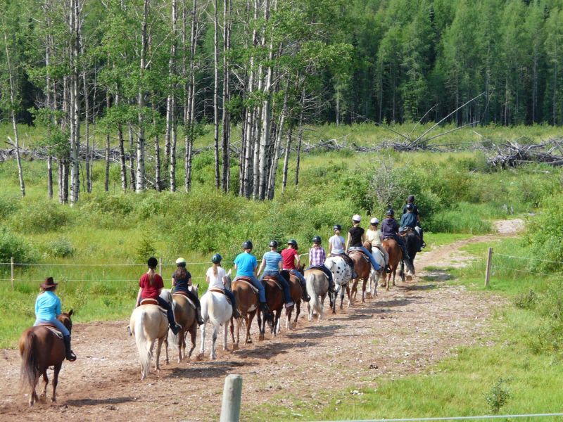 Wildhorse Camp Rocky Mountain House Horseback Riding/Equestrian