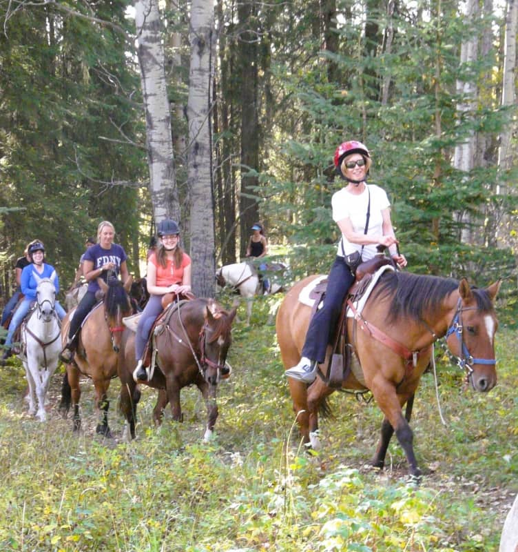 Wildhorse Camp Rocky Mountain House Horseback Riding/Equestrian