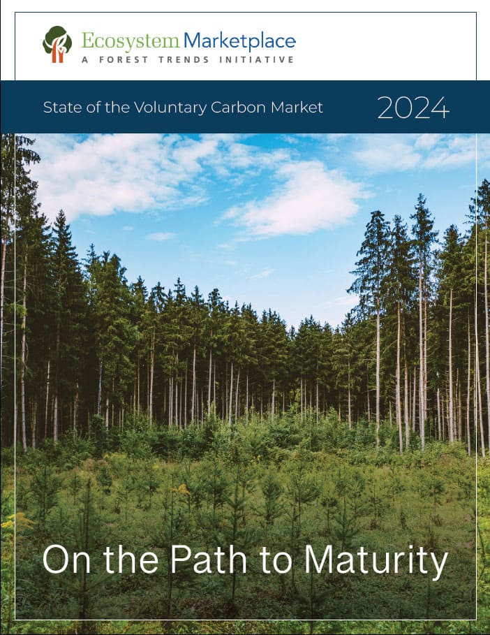 Markets in Motion - VCM - Reports