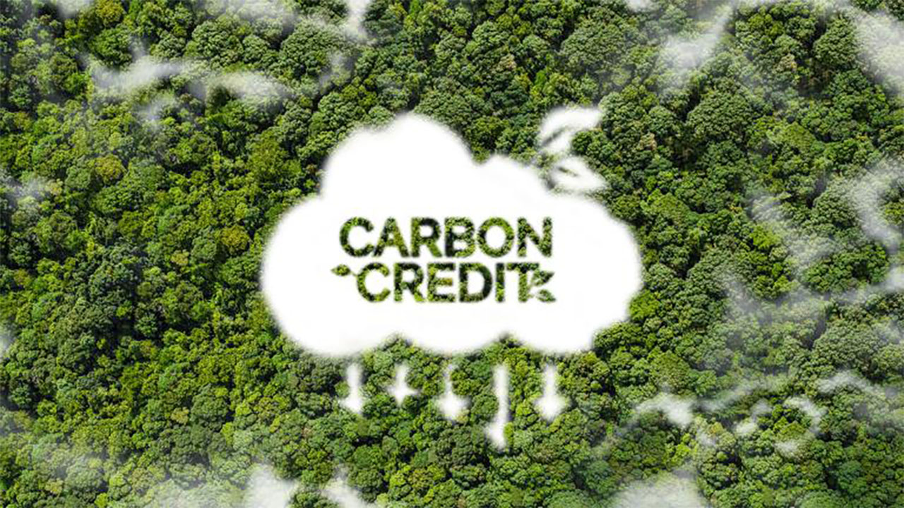 Evaluación de Planes de Compensación de Dióxido de Carbono Evaluación de Planes de Compensación de Dióxido de Carbono