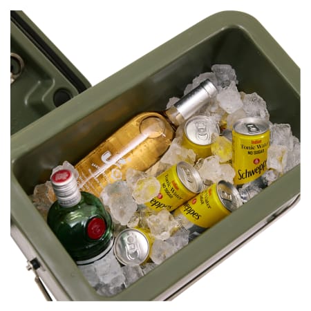 Rogue 18L Ice Cooler - default