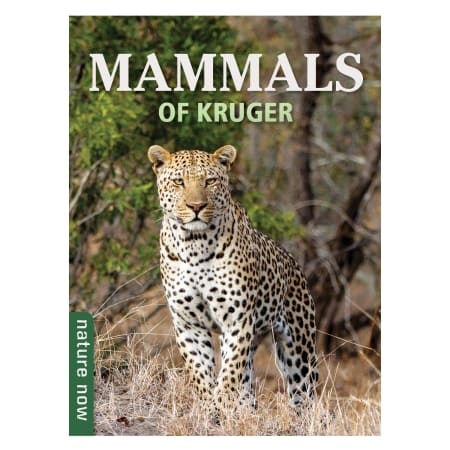 Nature Now: Mammals of Kruger - default