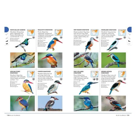 Newman&#039;s Birds by Colour - default