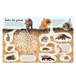 Mammal Safari Activity Book