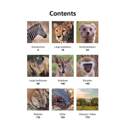Nature Now: Mammals of Kruger