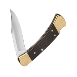 Buck 110 Folding Hunter Knife
