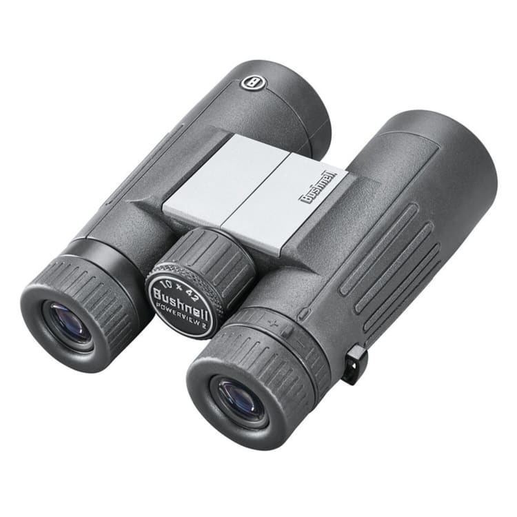 Bushnell Powerview 10x42 - default