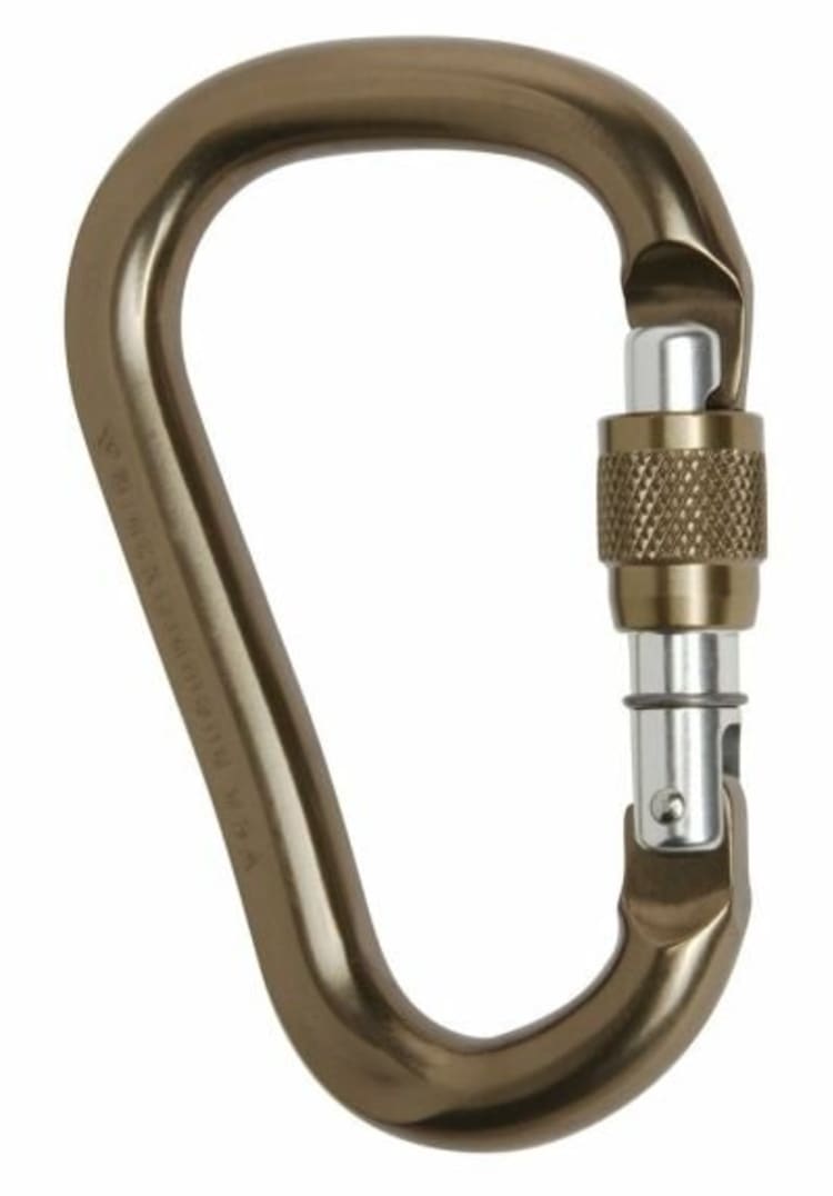 Black Diamond Rocklock Carabiner - default