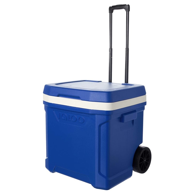 igloo 60qt roller