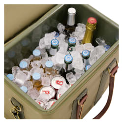 Rogue 22L Canvas Ice Cooler