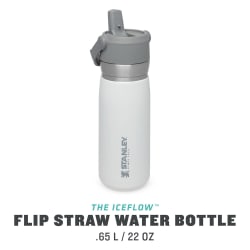 Stanley IceFlow Flip Straw Water Bottle 650ml Polar