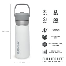 Stanley IceFlow Flip Straw Water Bottle 650ml Polar