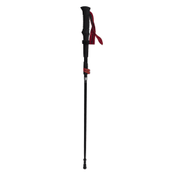 First Ascent Ibex II Trekking Pole