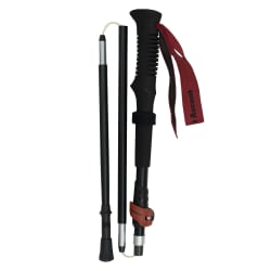 First Ascent Ibex II Trekking Pole