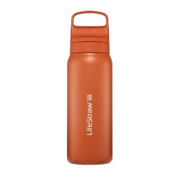 LifeStraw Go 2.0 Stainless Steel Water Filter Bottle (710ml)