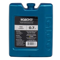 Igloo Performance Ice Mini Lunch Block