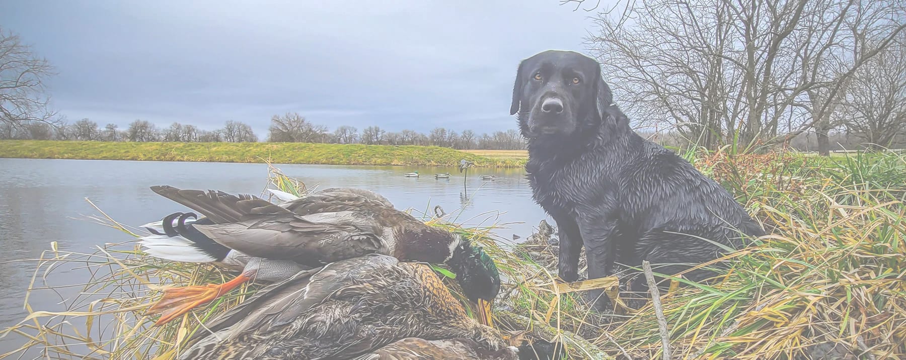 Welcome To Outdoor Bacon