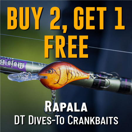Buy 2, Get 1 Free Rapala DT Dives-To Crankbaits