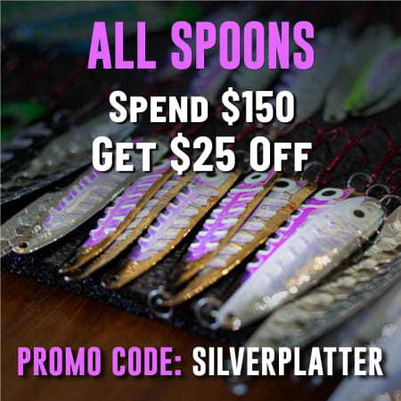 ALL SPOONS Spend $150 Get $25 Off Promo Code: SILVERPLATTER