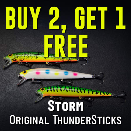 Buy 2, Get 1 Free Storm Original ThunderSticks