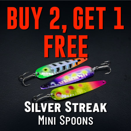 Buy 2, Get 1 Free Silver Streak Mini Spoons