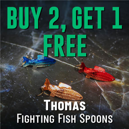Buy 2, Get 1 Free Thomas Fighting Fish Spoons