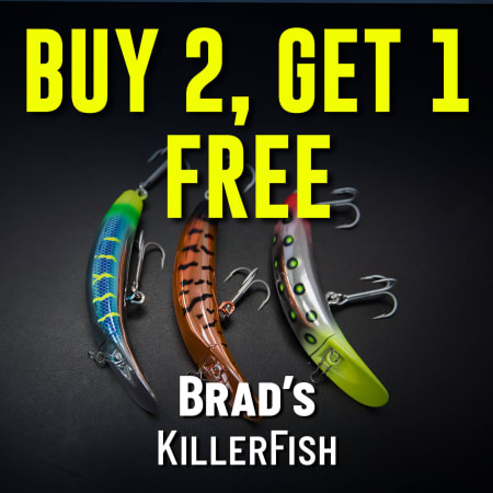 Buy 2, Get 1 Free Brad's KillerFish