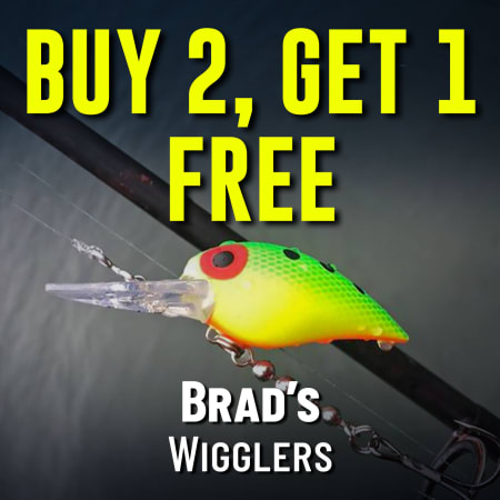 Buy 2, Get 1 Free Brad's Wigglers