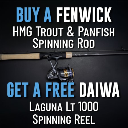 Buy a Fenwick HMG Trout & Panfish Spinning Rod Get a Free Daiwa Laguna LT Spinning Reel