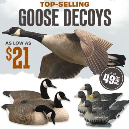 Top-Selling Goose Decoys from $21