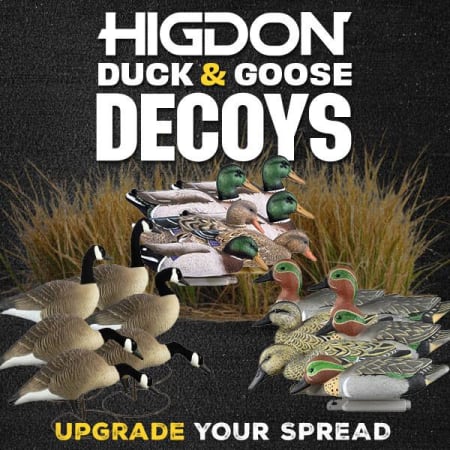 Higdon Duck & Goose Decoys