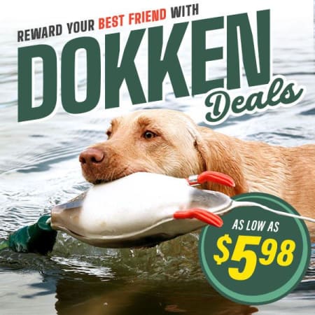 Awesome Dokken deals! Train your birddog from $5.98..