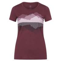 Icebreaker WMNS TECH LITE SS LOW CREWE COOK REFLECTED Frauen VELVET Icebreaker WMNS TECH LITE SS LOW CREWE COOK REFLECTED Frauen VELVET