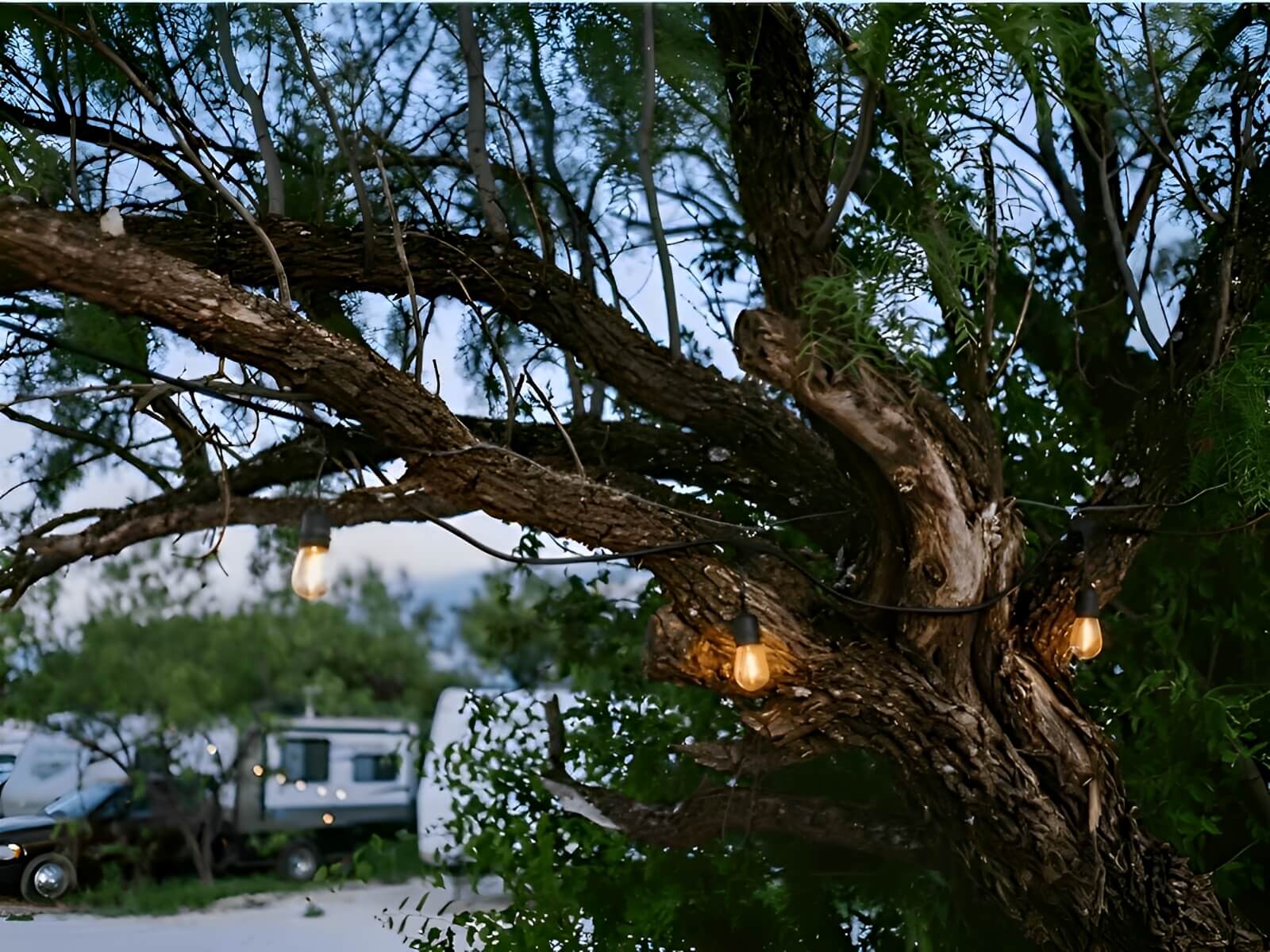 Crossroads RV Park - Big Spring