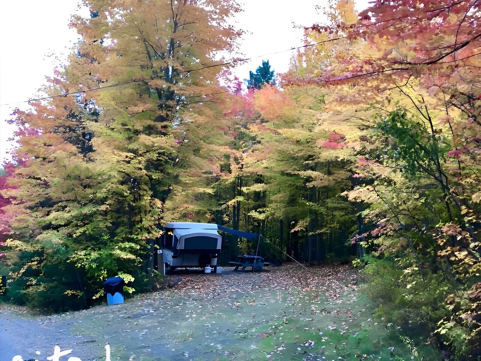 Moosehead Family Campground