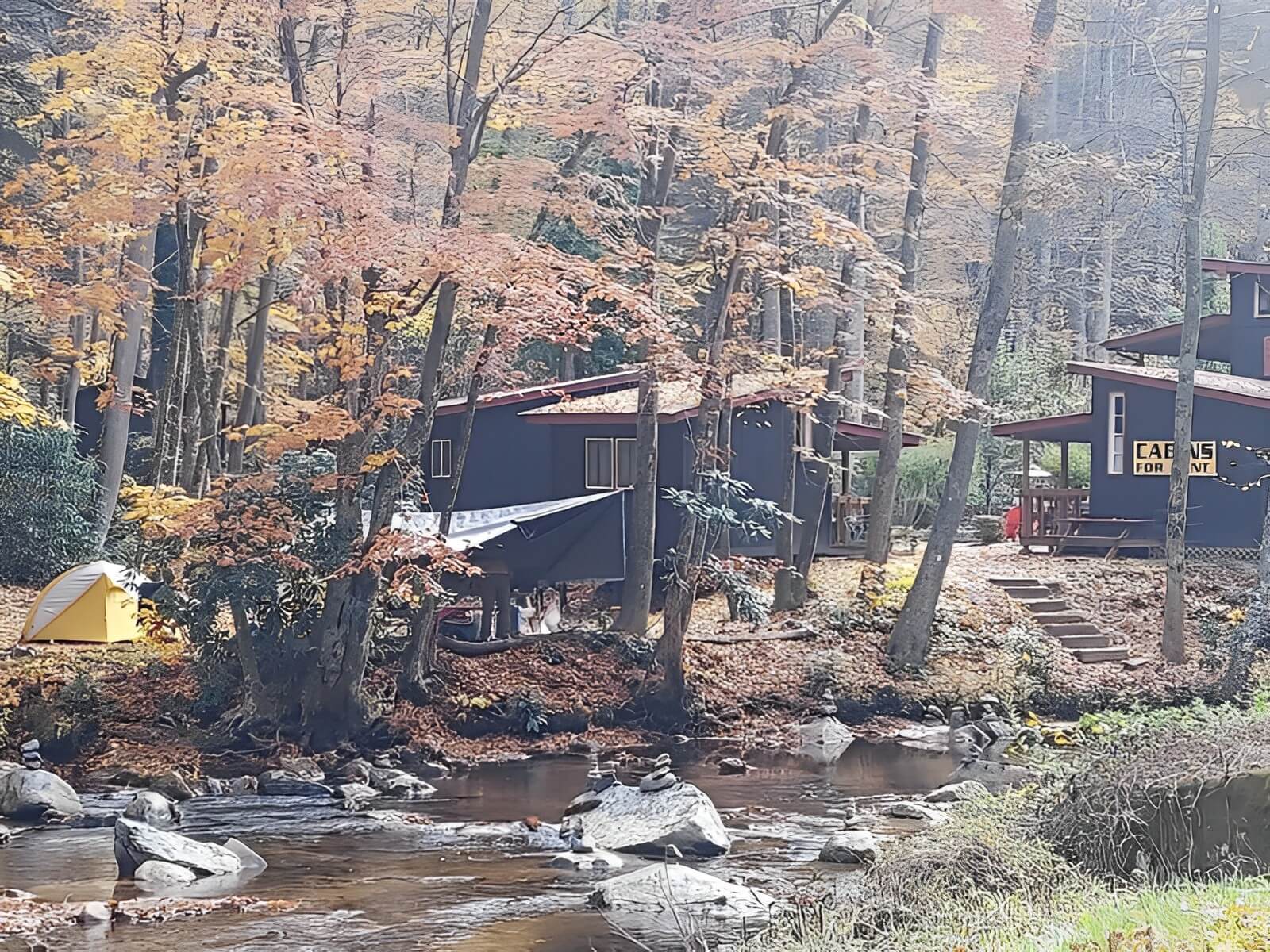 Black Bear Resort