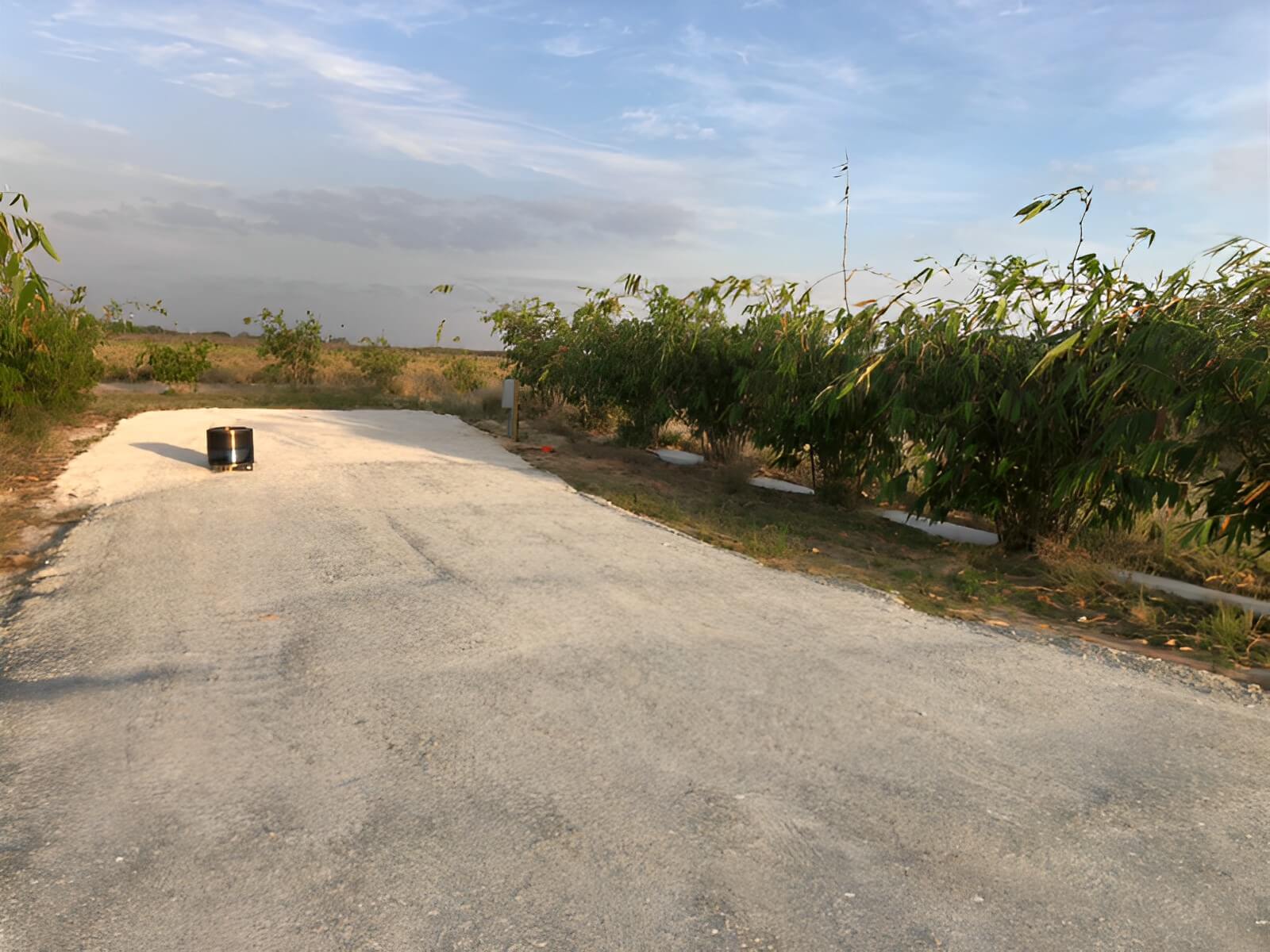 Joy Bamboo Forest Farm