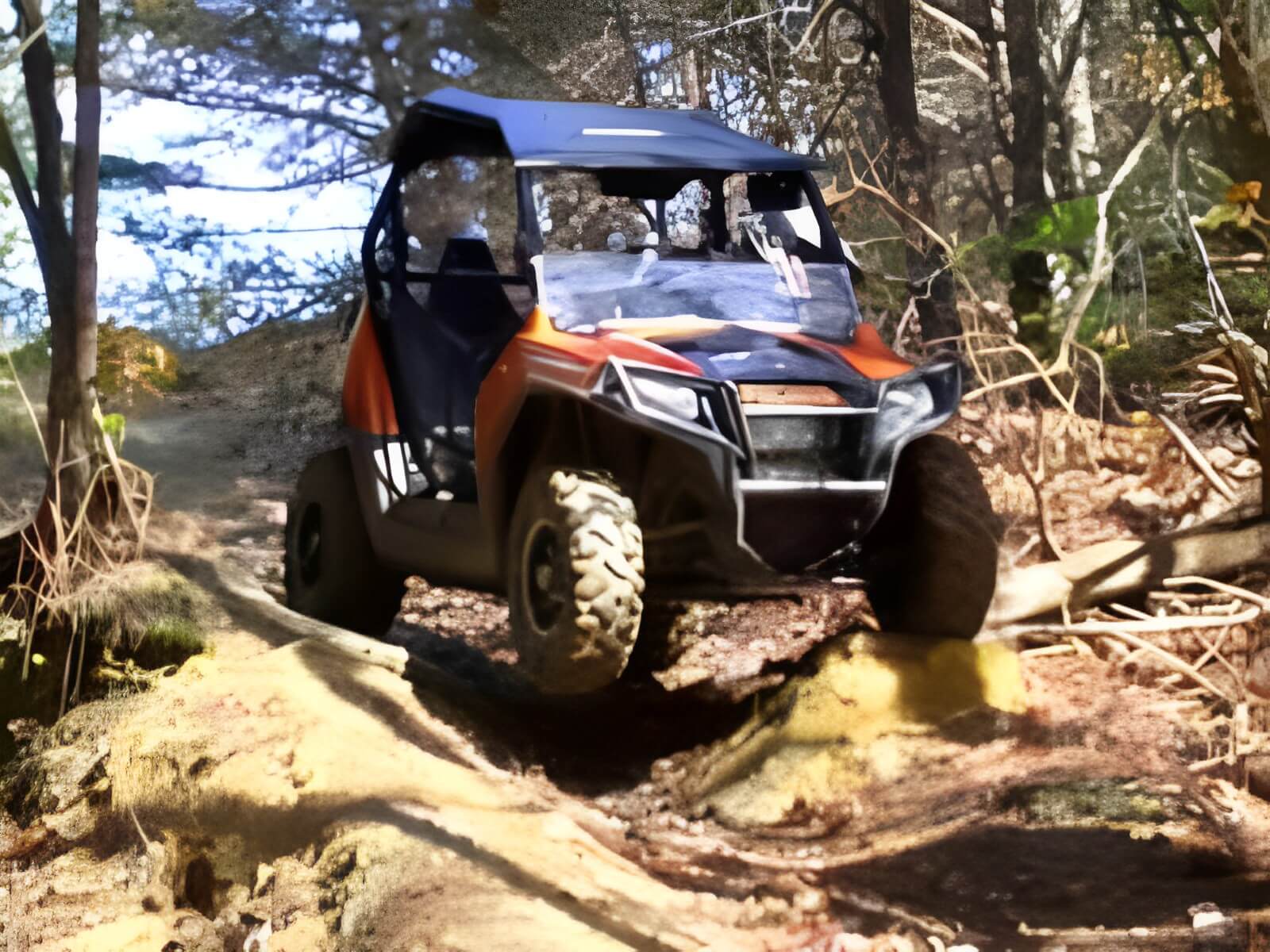 Perry Backwoods Campgrounds