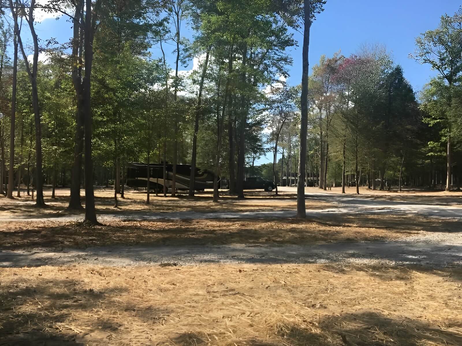 Old Mill Camp