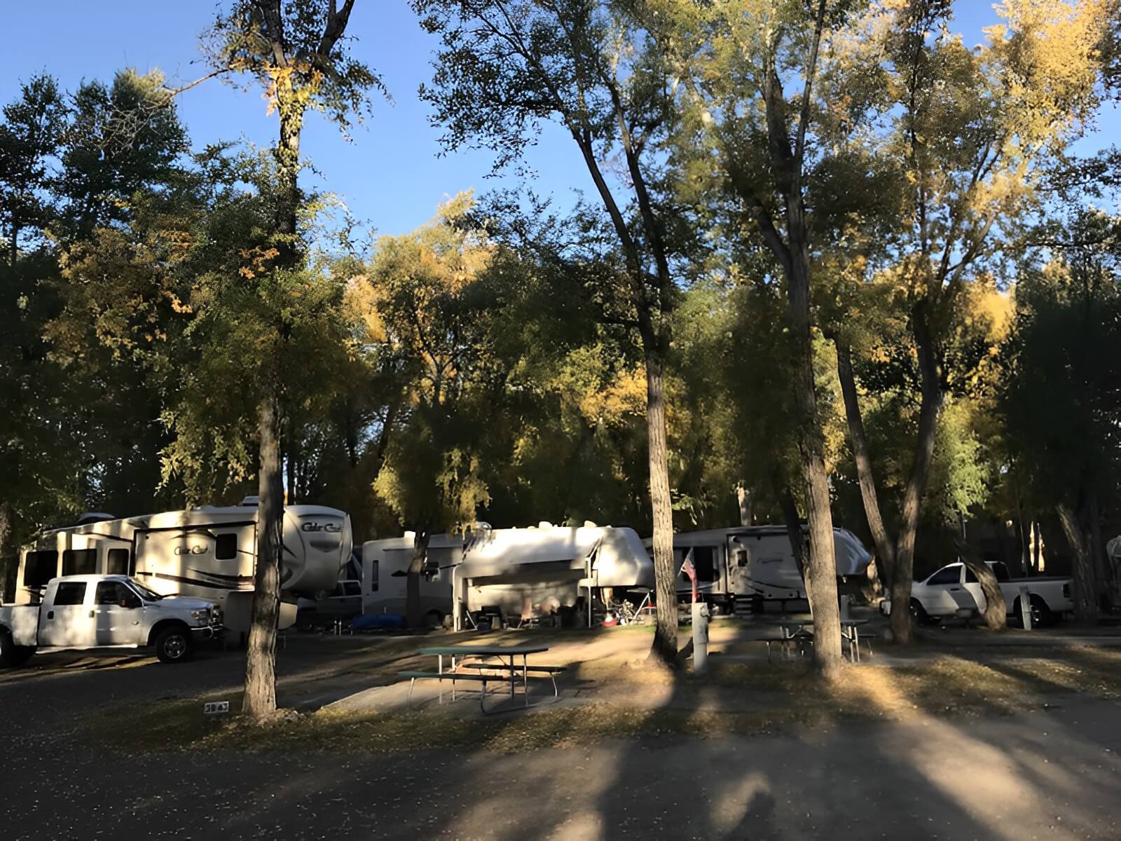 Tall Texan RV Park and Cabins 
