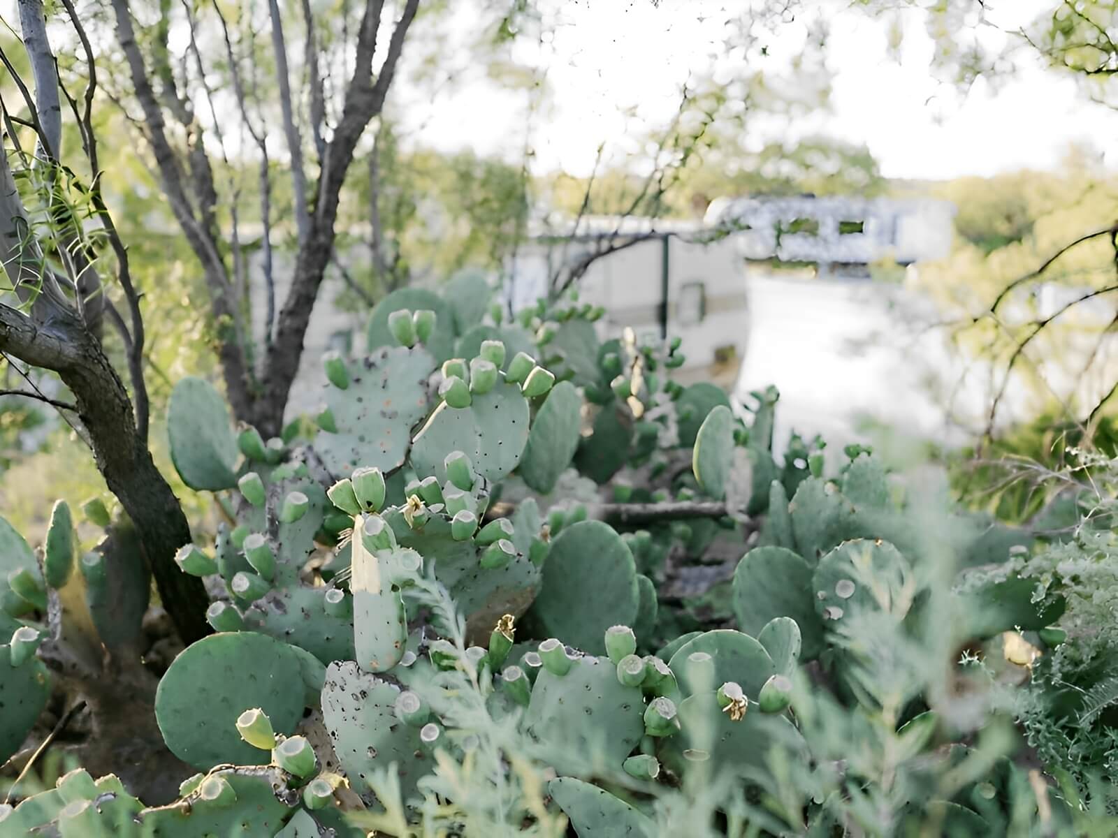 Crossroads RV Park - Big Spring